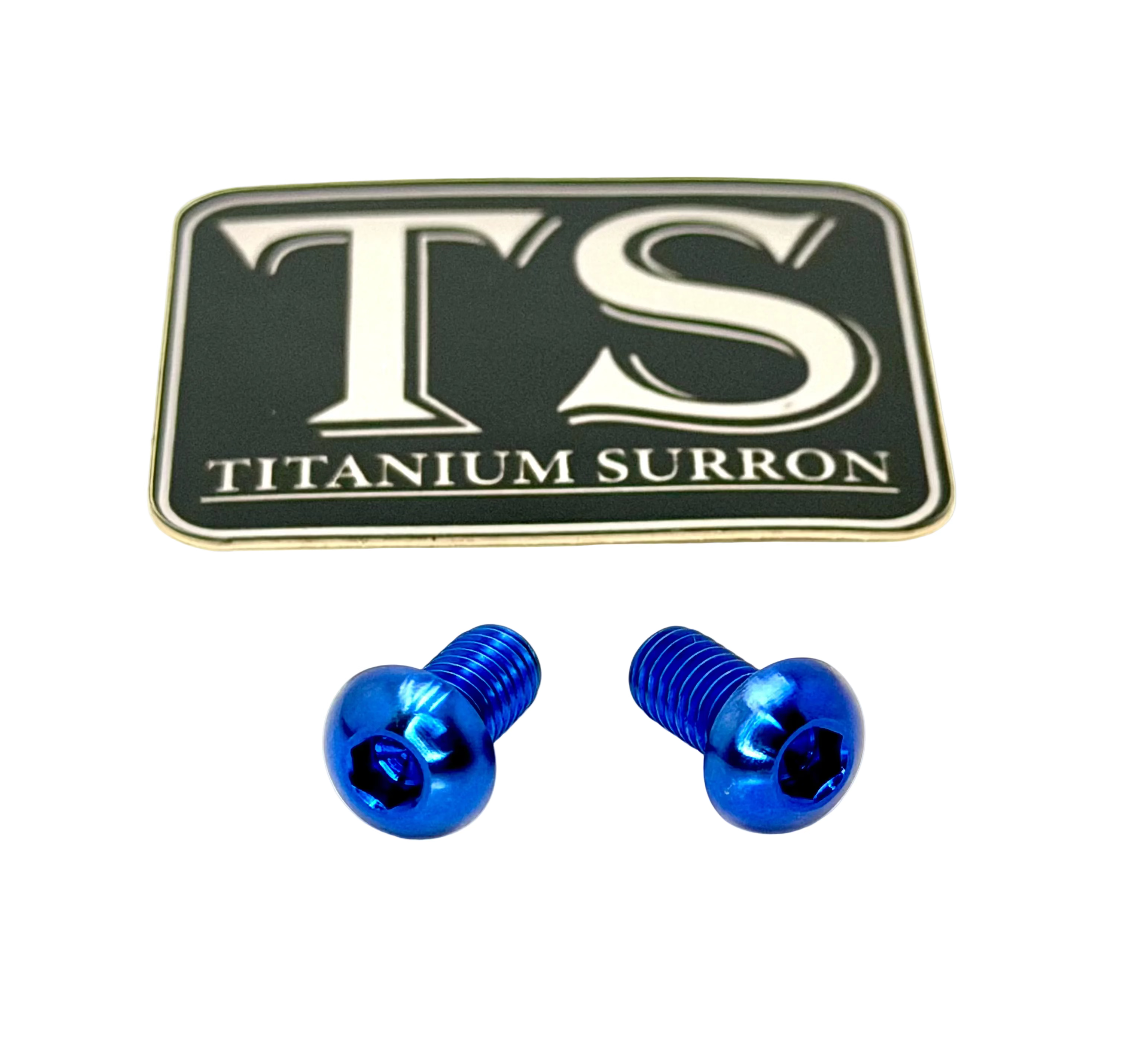 Titanium M6 Ignition Cover Bolts (Set of Two) Surron, Segway, Similar E-moto