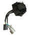 Sur-Ron Ultra Bee DC Converter