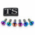 Titanium Front Rotor Bolts - E-Moto