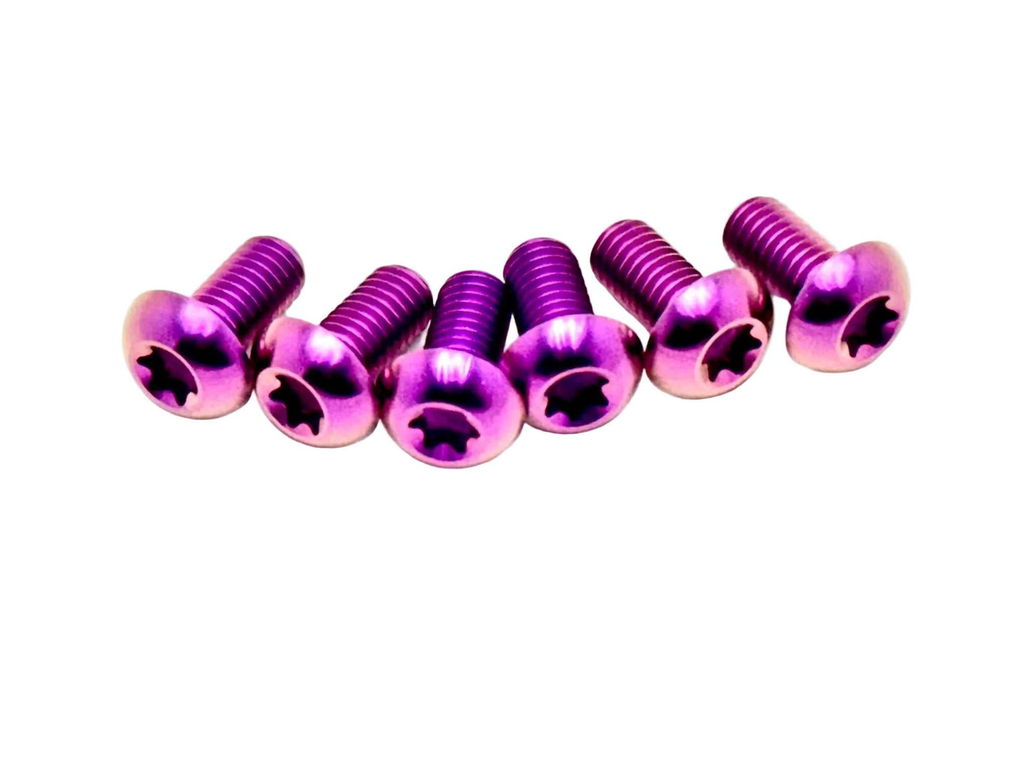 Titanium front rotor bolts for e-moto — detail view