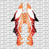 Pre-Designed Ultrabee Graphics Kit (Plastics Only)