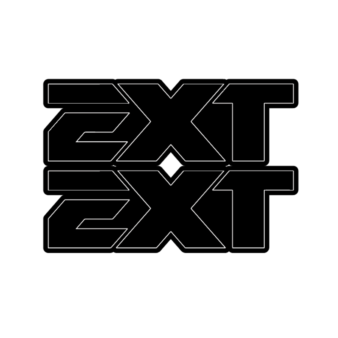 EXT Fork Tube Decal