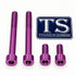 Titanium Motor Mount Bolt Kit for Altis Sigma