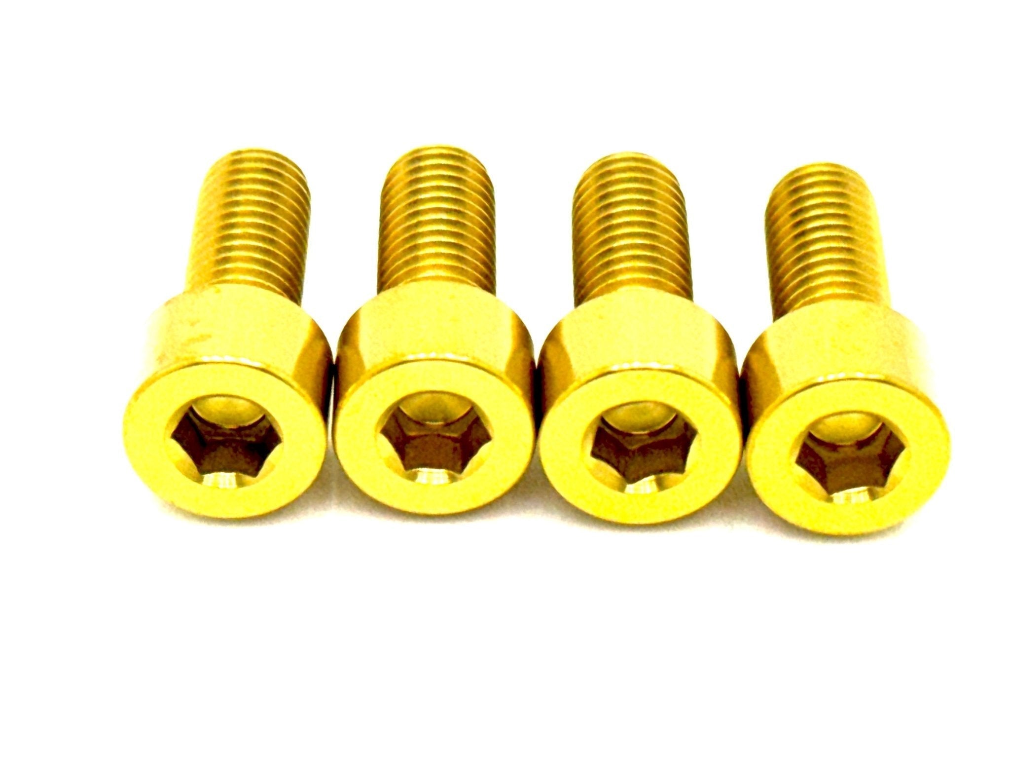 Titanium peg bracket bolts for e-moto — installed on peg bracket