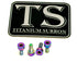 E-Ride Pro Display Protector Titanium Bolts