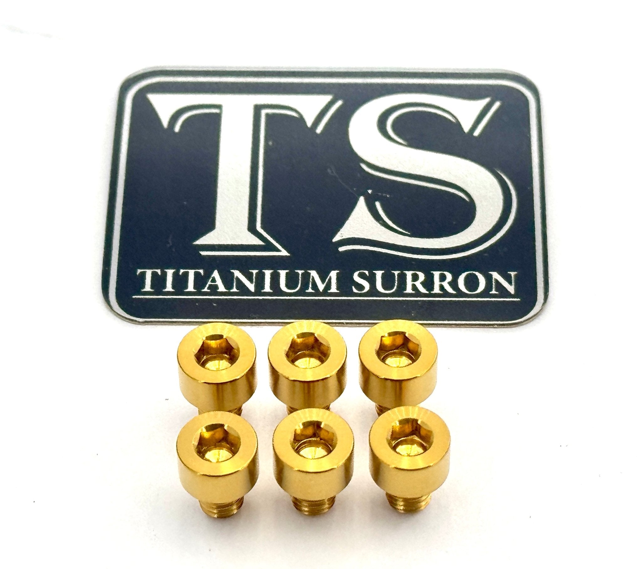 EBMX X9000 Heat Sink Titanium Bolt Kits (6)