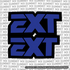 EXT Fork Tube Decal