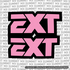 EXT Fork Tube Decal