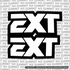 EXT Fork Tube Decal