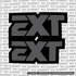 EXT Fork Tube Decal