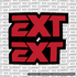 EXT Fork Tube Decal