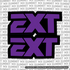 EXT Fork Tube Decal