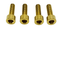 Titanium Caliper Bolt Kit