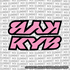 KYB Fork Tube Decal