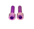 Titanium 20mm caliper bolts — color option