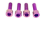 Titanium Caliper Bolt Kit