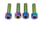 Titanium Caliper Bolt Kit
