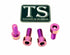 Titanium Axle Pinch Bolts for E-moto Forks