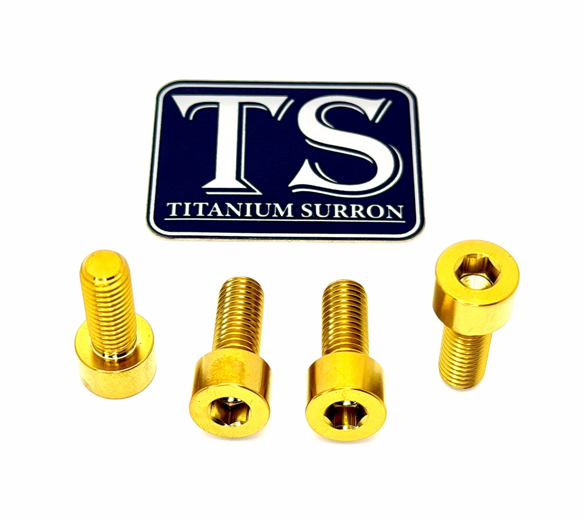 Titanium Axle Pinch Bolts for E-moto Forks