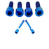 Titanium Caliper Bolt Kit