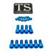 Titanium EXT Ferro Fork Bolt Kits