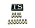 Titanium EXT Ferro Fork Bolt Kits