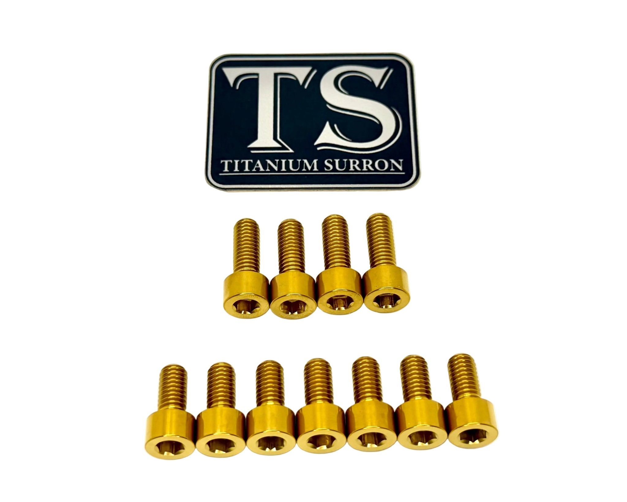 Titanium EXT Ferro Fork Bolt Kits