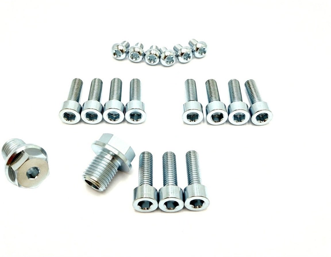 Titanium FastAce fork bolt kit — installed on fork