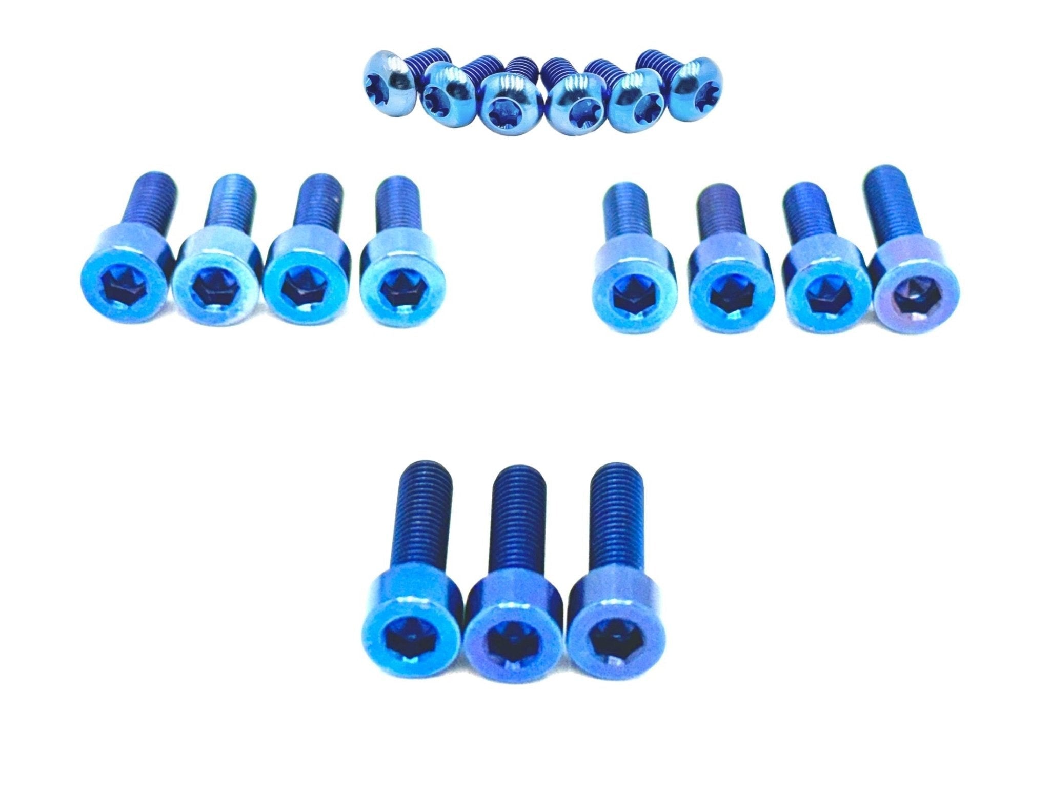 Titanium FastAce fork bolt kit — detail view