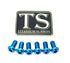 Titanium Front Rotor Bolts - E-Moto
