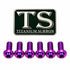 Titanium Front Rotor Bolts - E-Moto