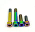 Titanium Motor Bolts - E-Ride Pro (all models)