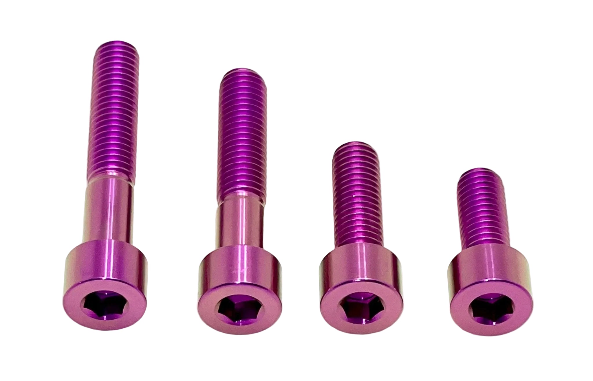 Titanium Motor Bolts - Surron LBX