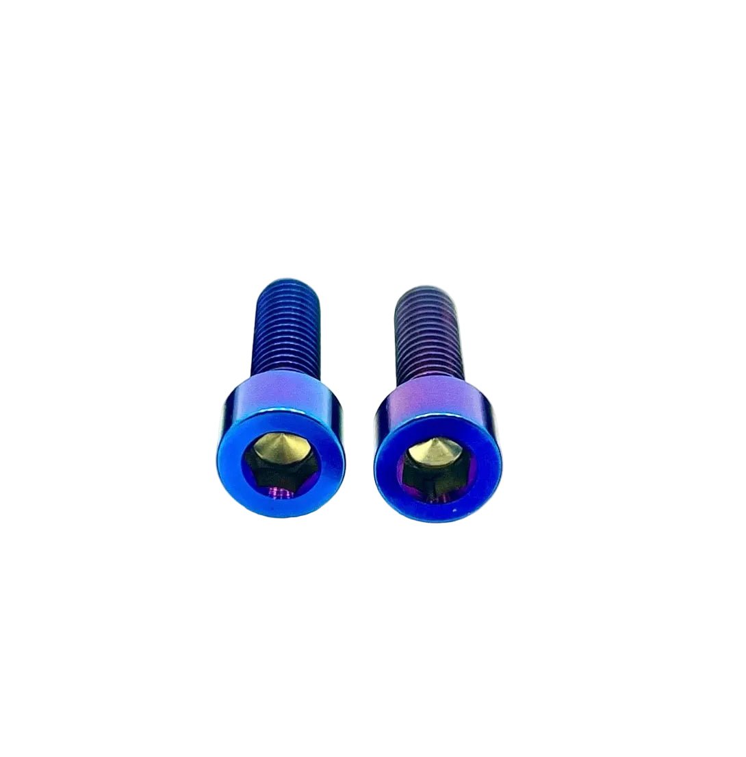 Titanium Motor Cover Bolts (Set of Two) Surron, Segway, 79 Bike, ERP
