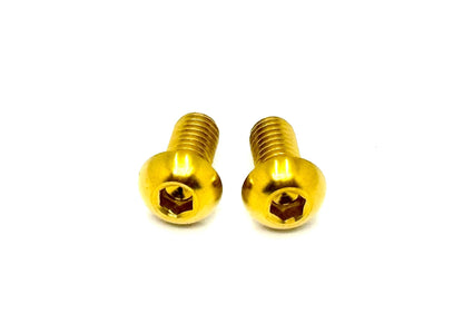 Titanium Motor Cover Bolts (Set of Two) Surron, Segway, 79 Bike, ERP