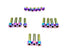 Titanium Altis Sigma Front Fork Bolt Kit