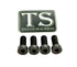 Titanium Seat/ Subframe Bolts for E-moto