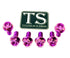 Titanium Rear Sprocket Bolts - E-Moto