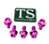Titanium Rear Sprocket Bolts - E-Moto