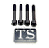 Titanium stem bolts for Altis Sigma — detail view