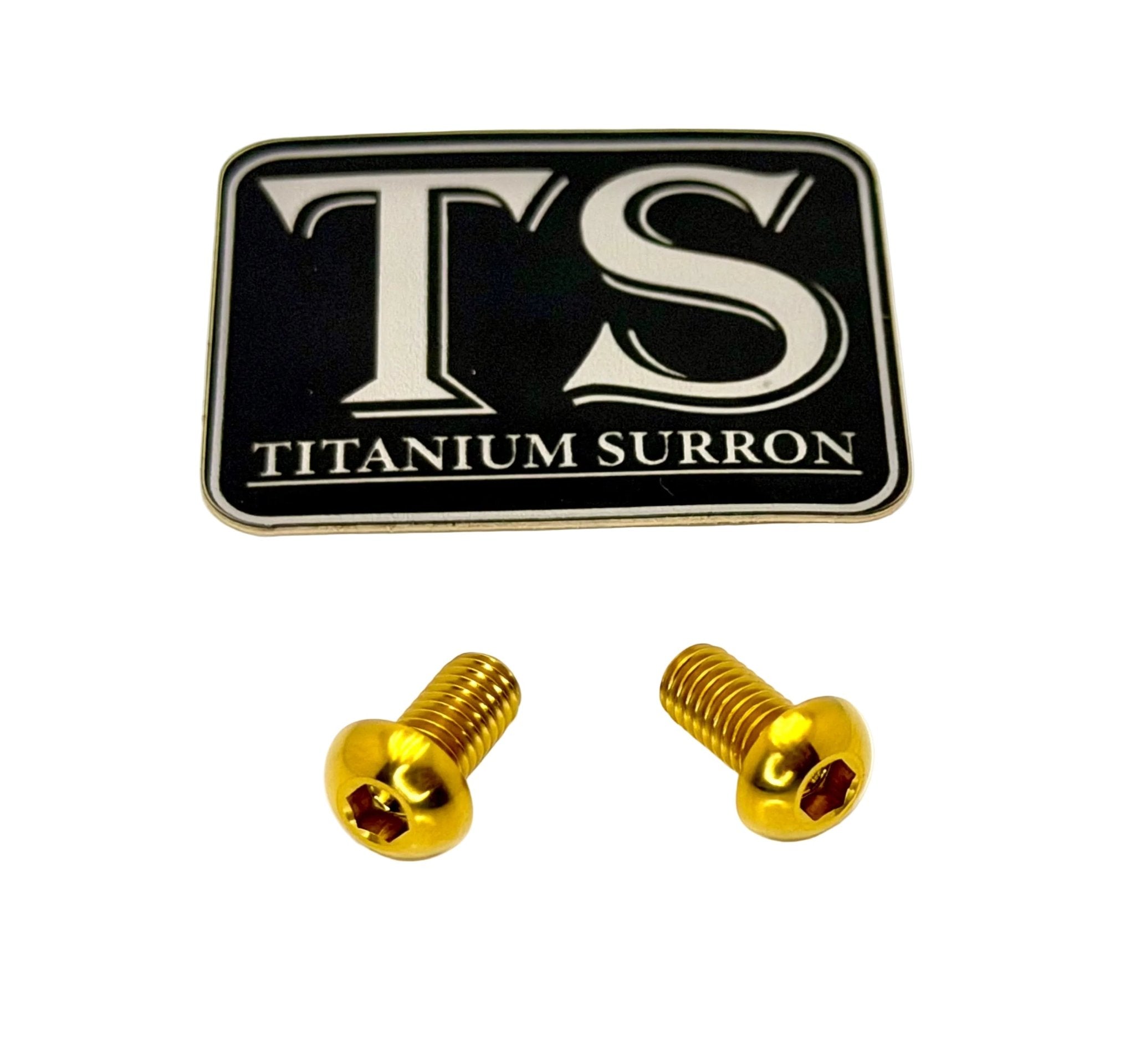 Titanium M6 Ignition Cover Bolts (Set of Two) Surron, Segway, Similar E-moto