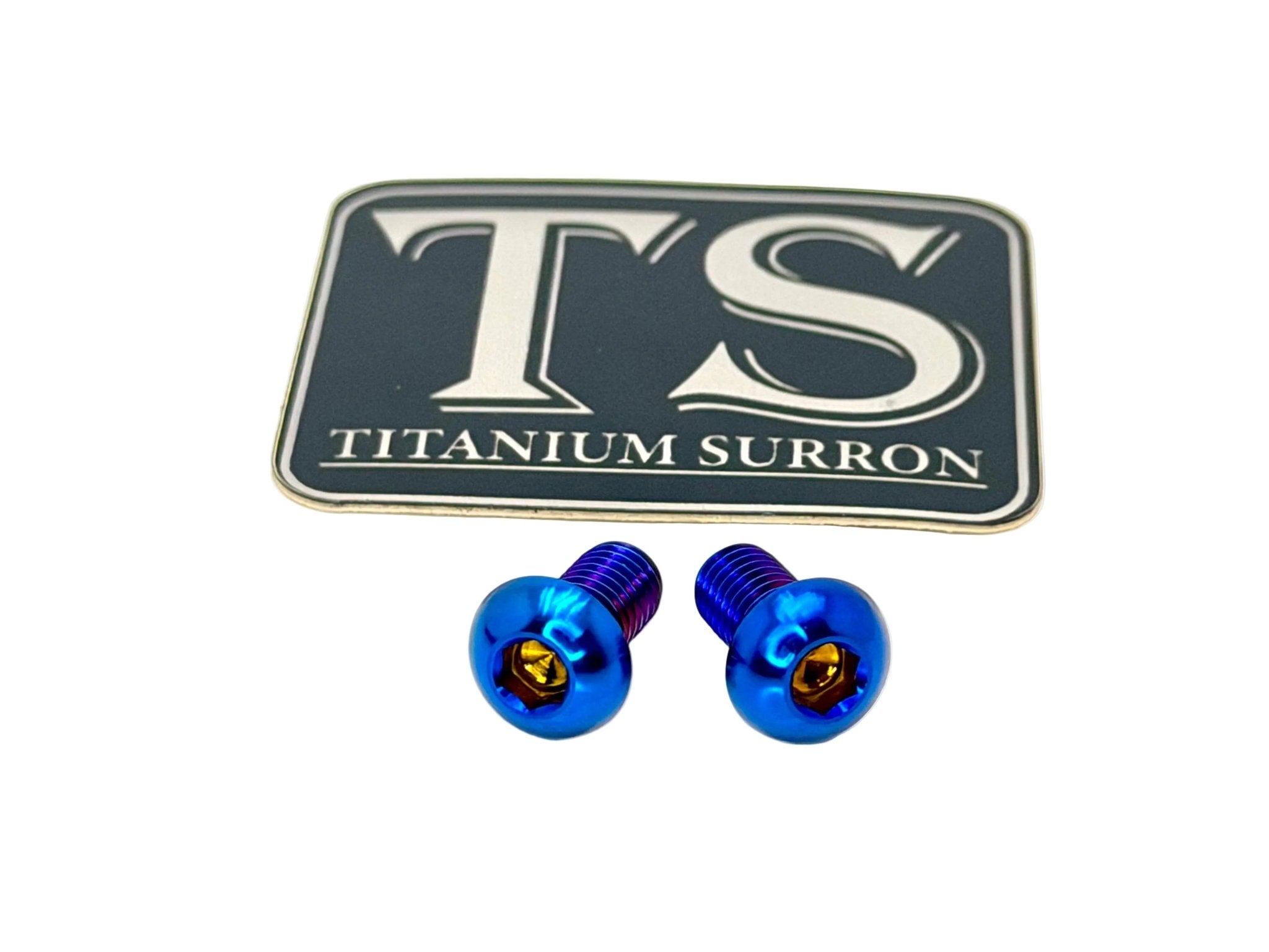 Titanium Motor Cover Bolts (Set of Two) Surron, Segway, 79 Bike, ERP