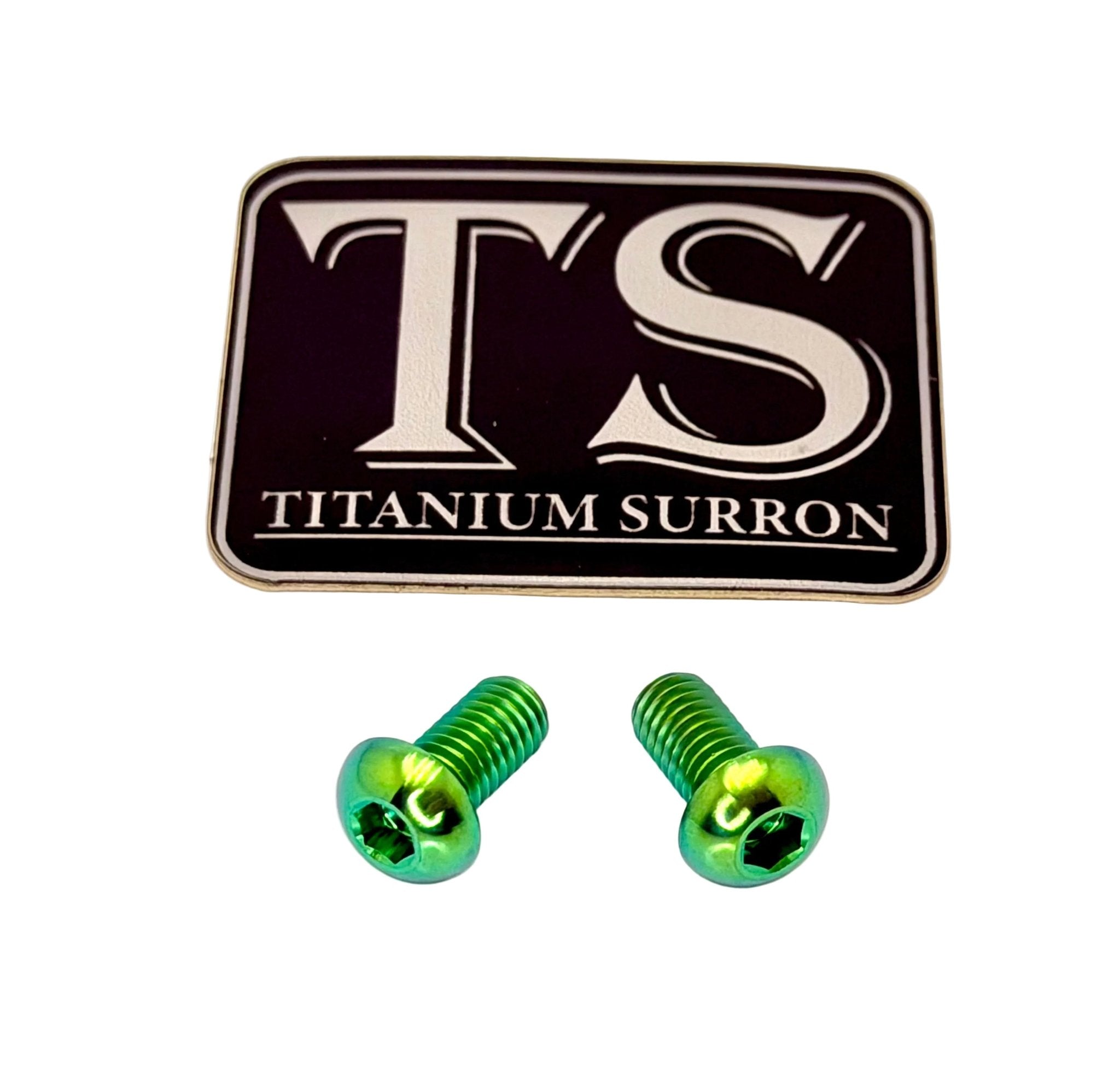 Titanium Motor Cover Bolts (Set of Two) Surron, Segway, 79 Bike, ERP