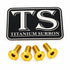 Titanium Surron Ultra Bee Brake Reservoir Cap Bolts