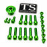 Titanium Surron Ultra Bee OEM Fork Bolt Kit