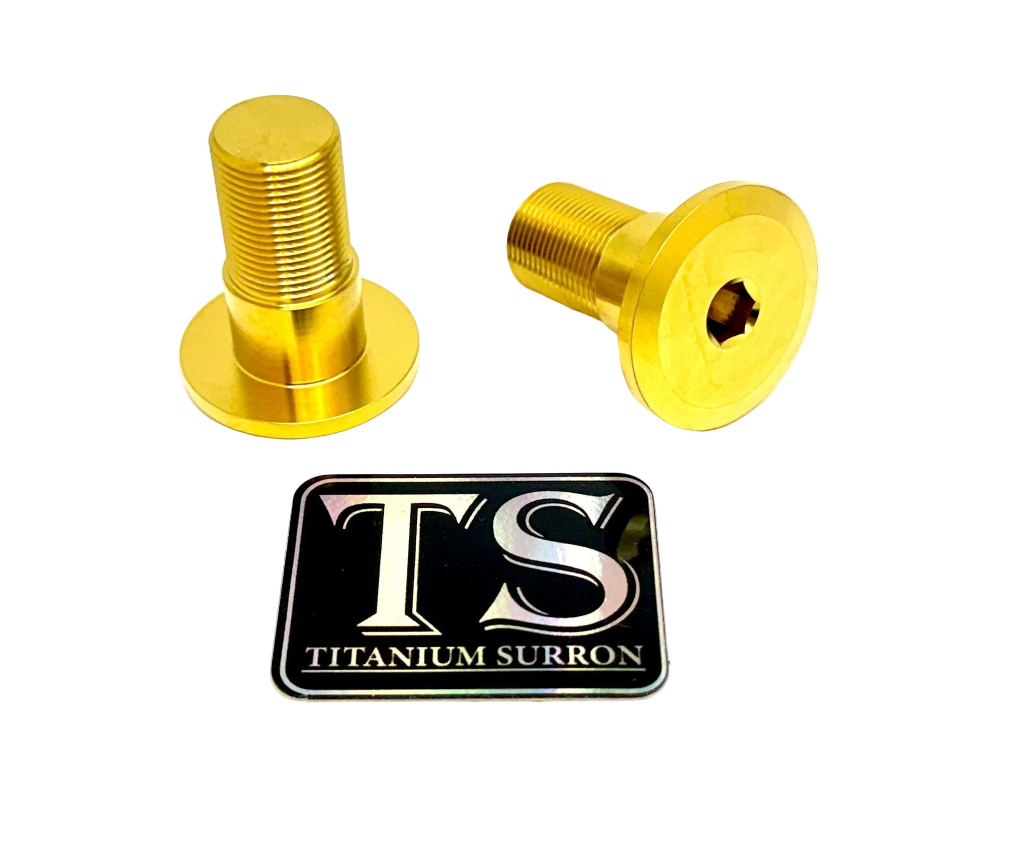 Titanium Talaria Sting Swingarm Bolts