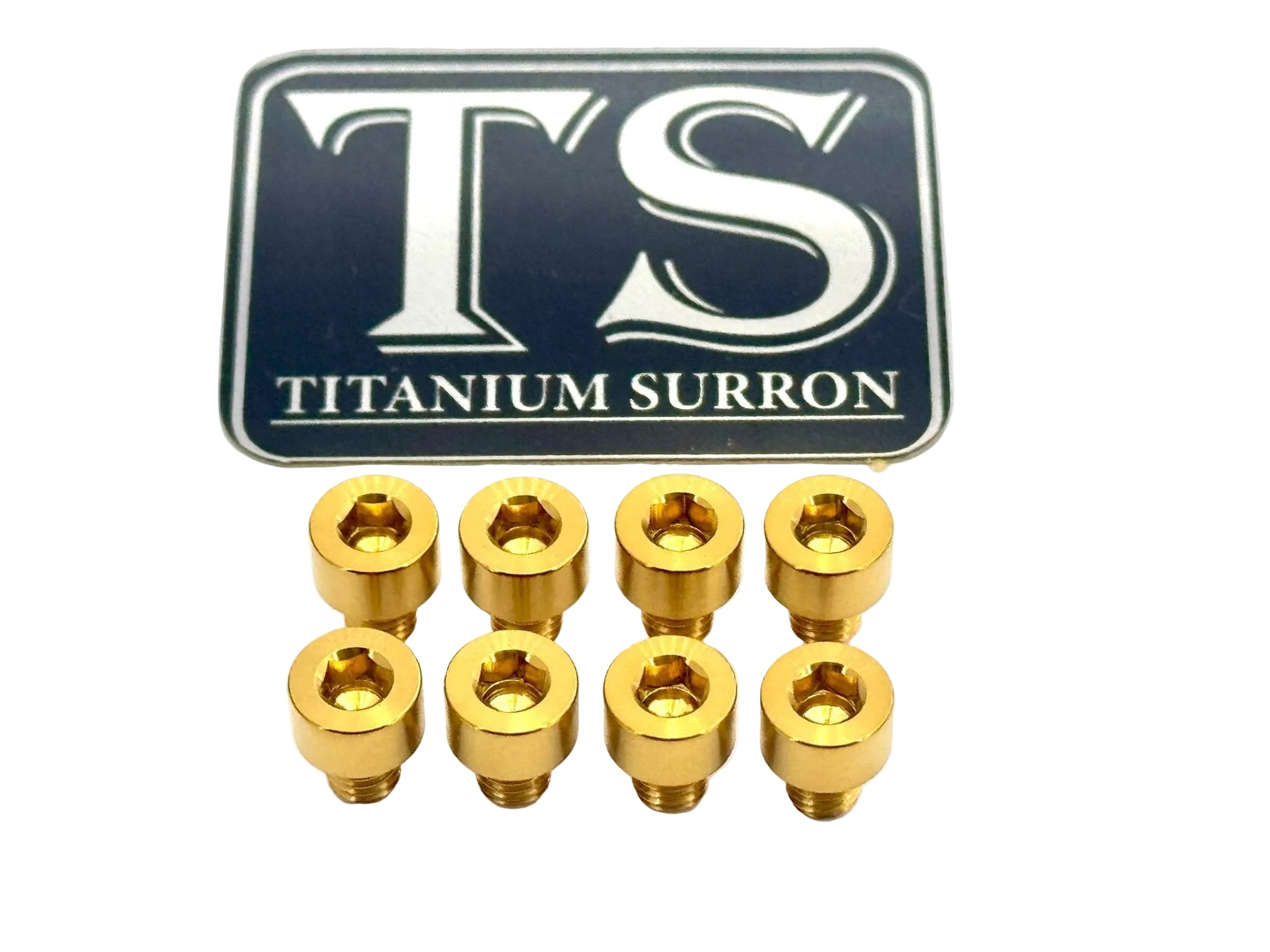 Ventus V9600 Heat Sink Titanium Bolt Kits (8 pcs)
